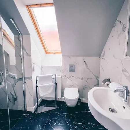 Hotel Villa Art Novis City Center 3* Breslavia