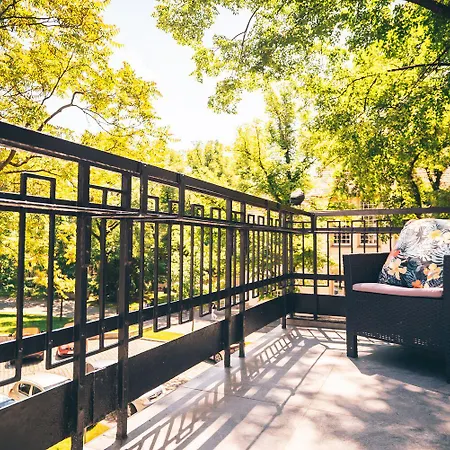 Art Novis Centrum Wroclaw